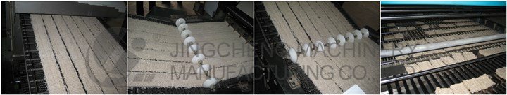 Fried Instant Noodles Processing Plant