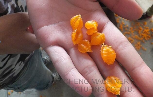 Shell pasta making line