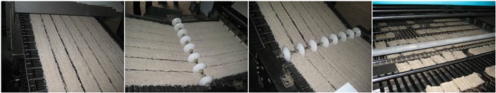 Instant Noodles Processing Line